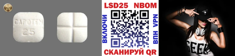 LSD-25 экстази кислота  мориарти какой сайт  Плавск  MEGA как войти 